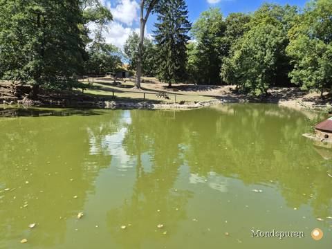 Wildpark Ernstbrunn — Foto 64