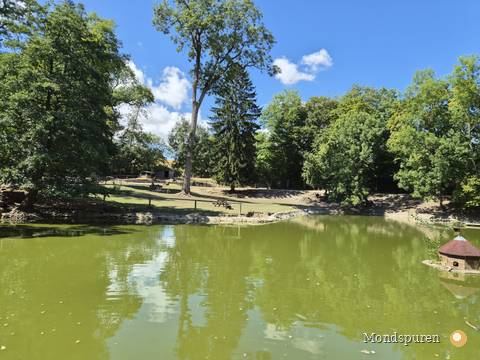 Wildpark Ernstbrunn — Foto 65