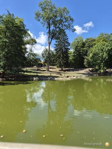 Wildpark Ernstbrunn — Foto 66