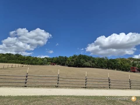 Wildpark Ernstbrunn — Foto 72