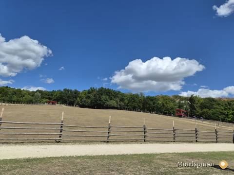 Wildpark Ernstbrunn — Foto 73