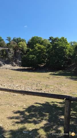 Wildpark Ernstbrunn — Foto 78